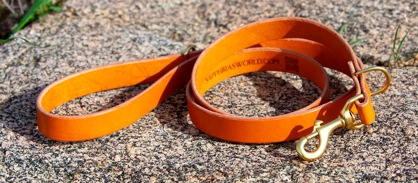 Sapphira's World Leather Lead