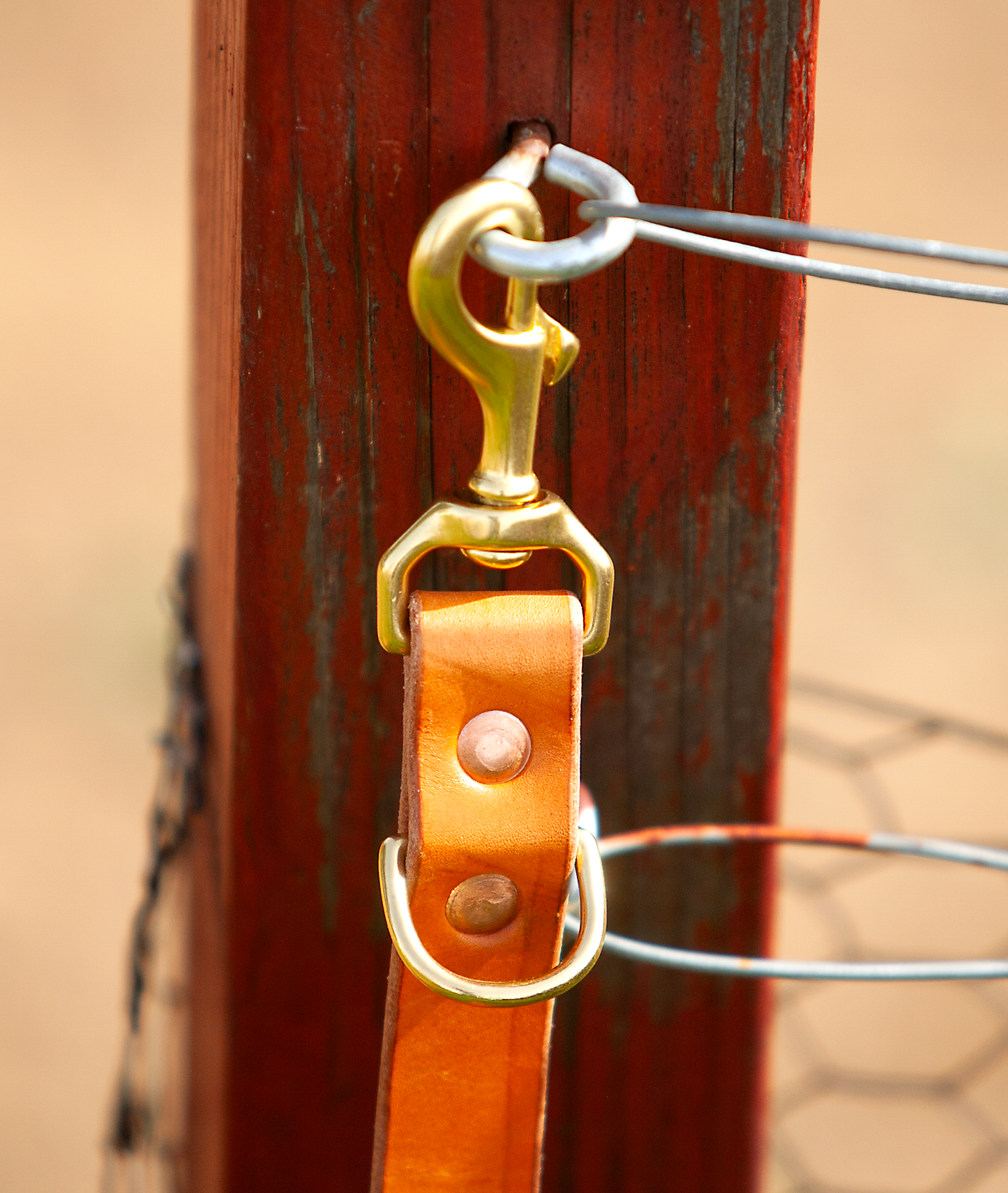 Sapphira's World Double Snap Lead