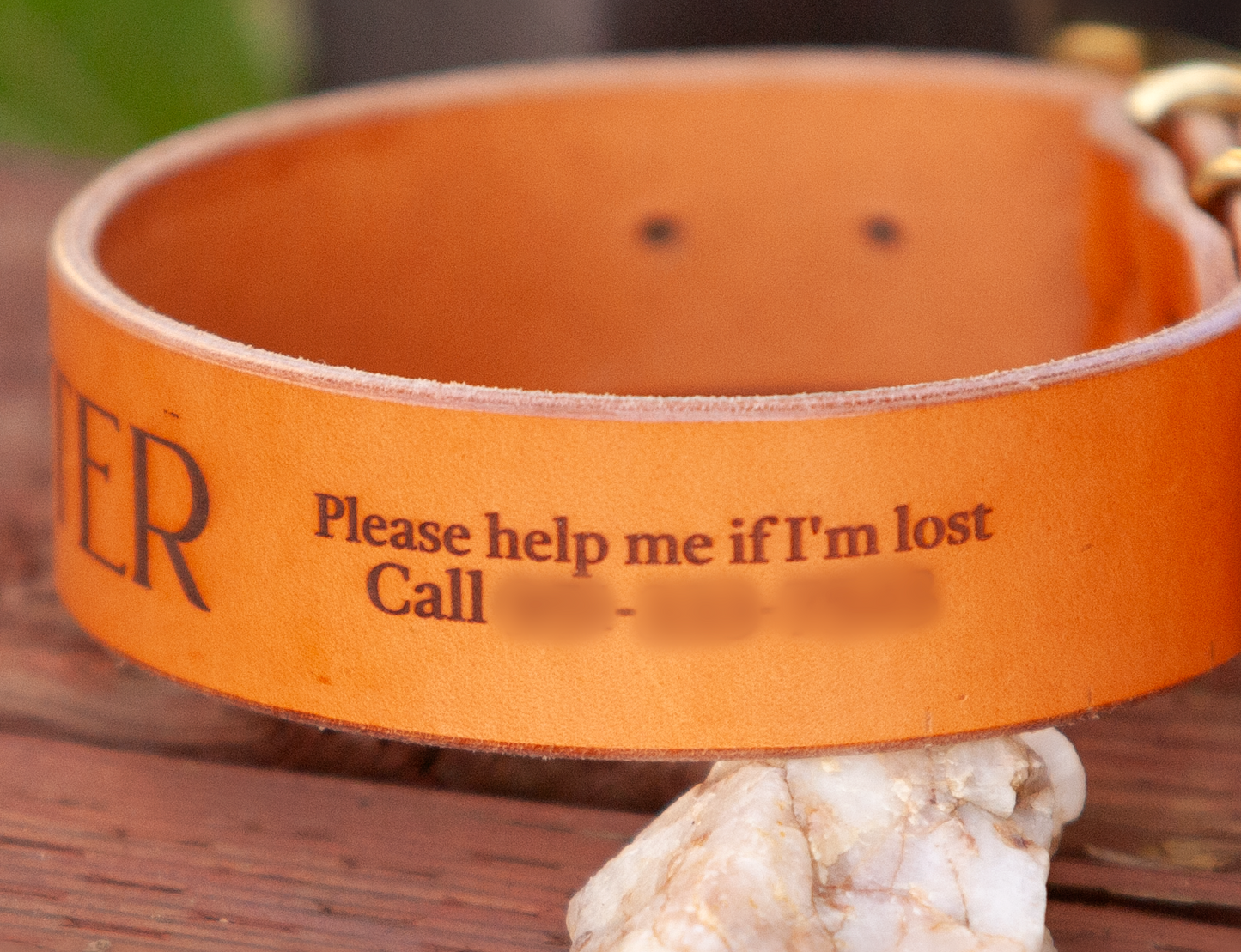 Sapphira's World Personalized Dog Collar