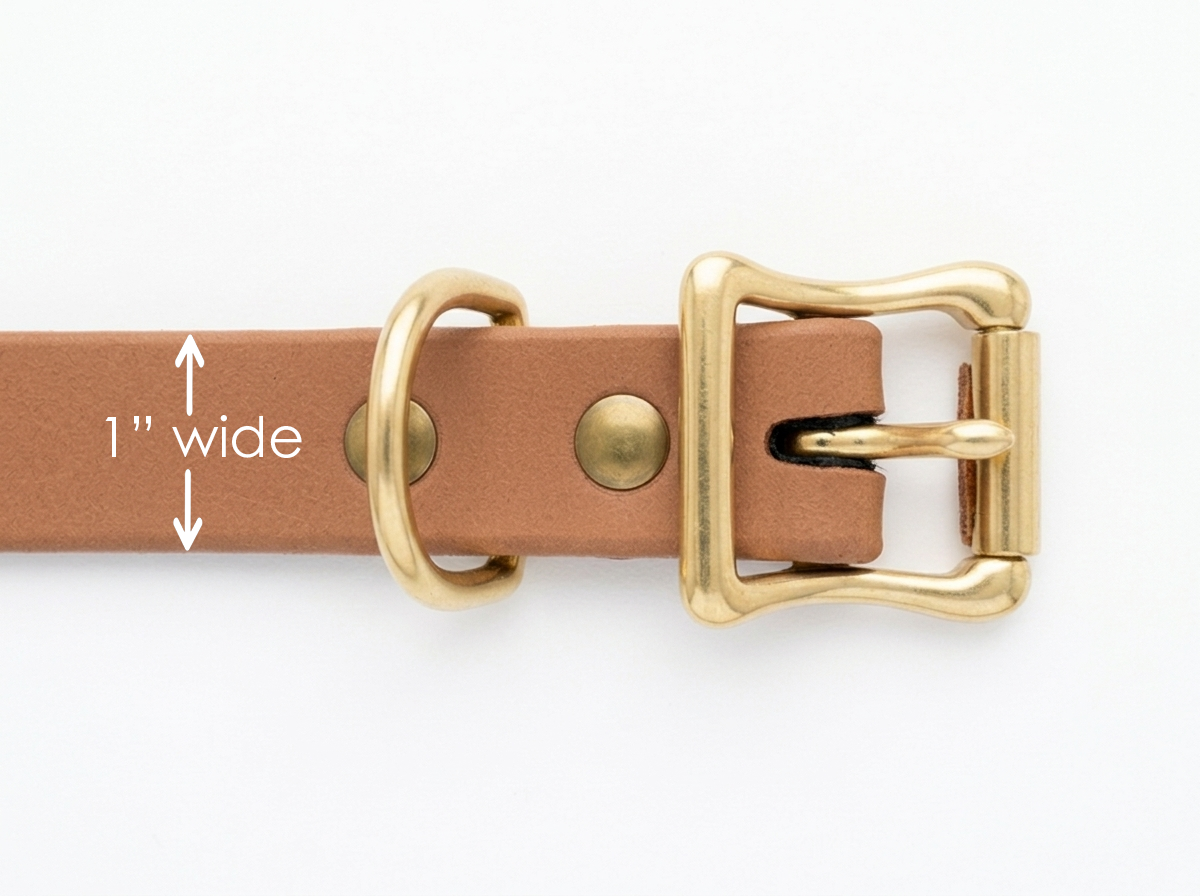 Sapphira's World Personalized BioThane® Dog Collar