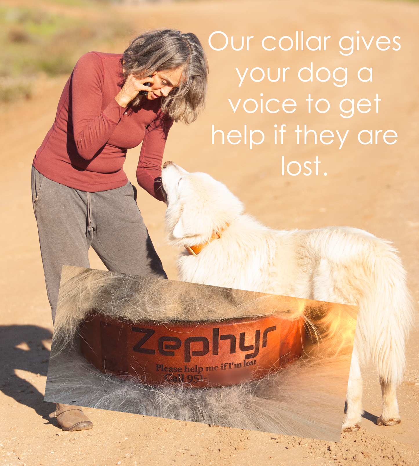 Sapphira's World Personalized Dog Collar