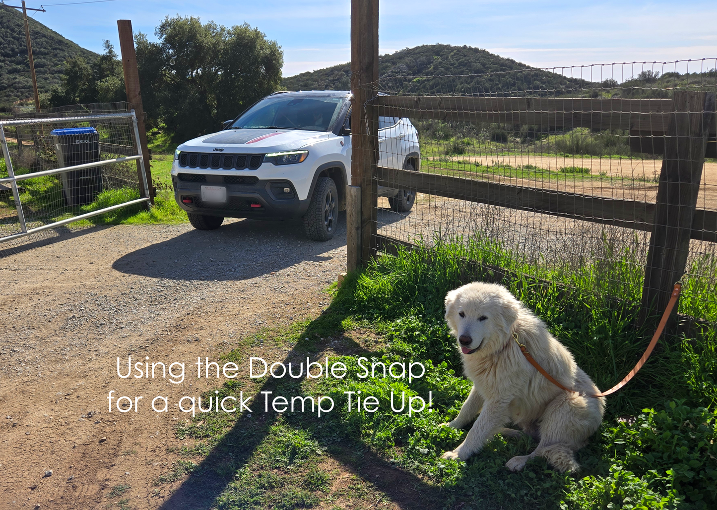 Sapphira's World Double Snap Lead