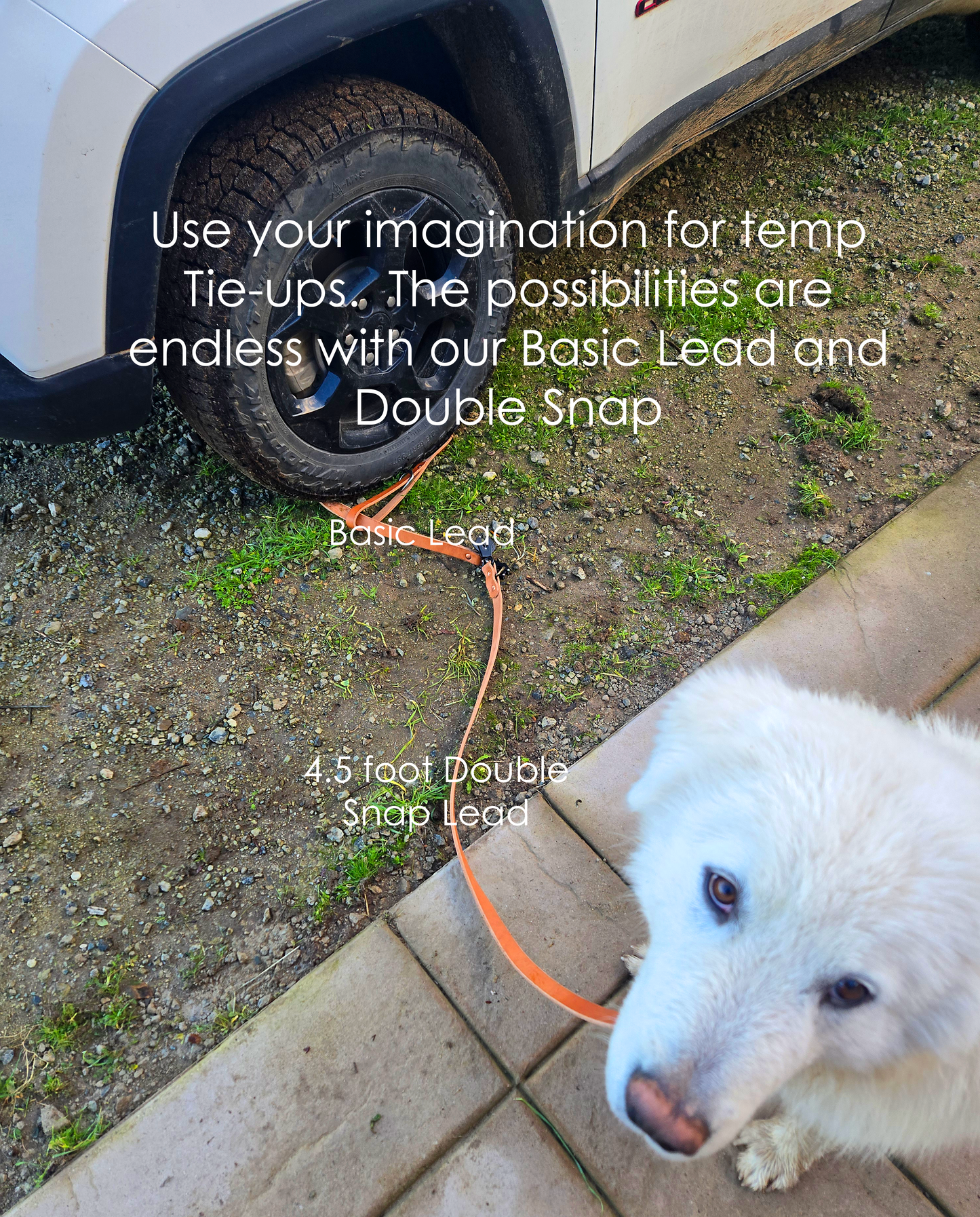 Sapphira's World Double Snap Lead