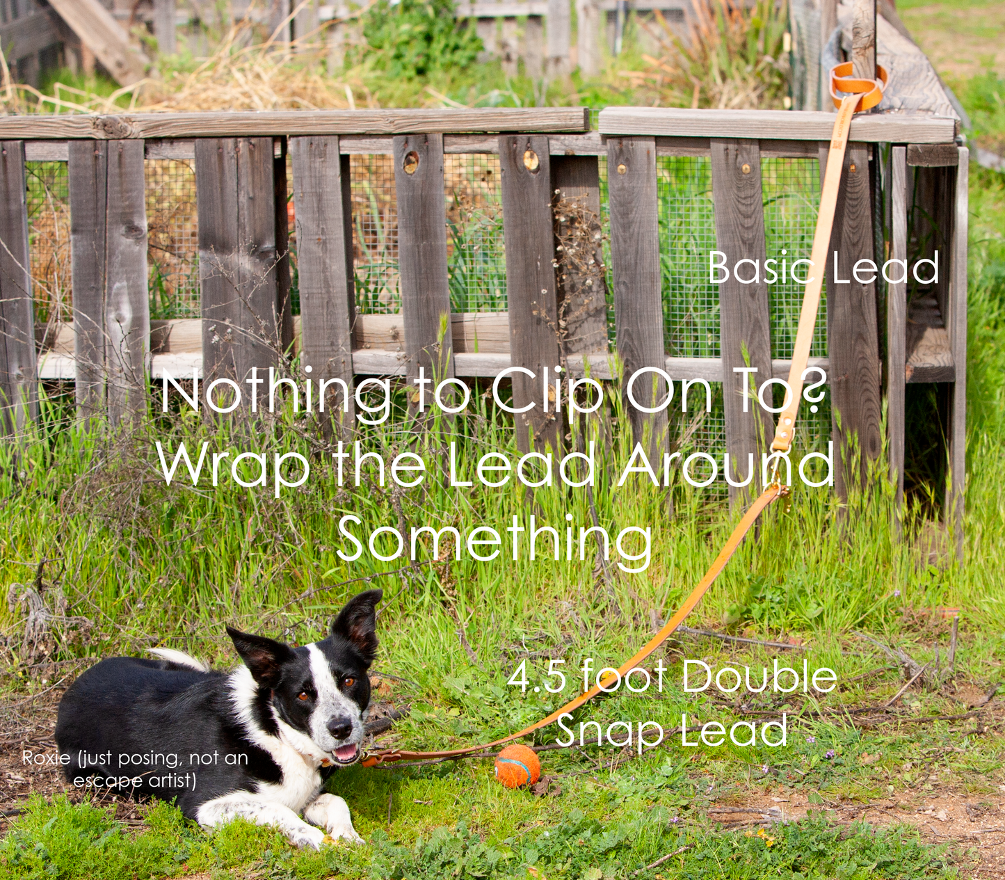 Sapphira's World Double Snap Lead