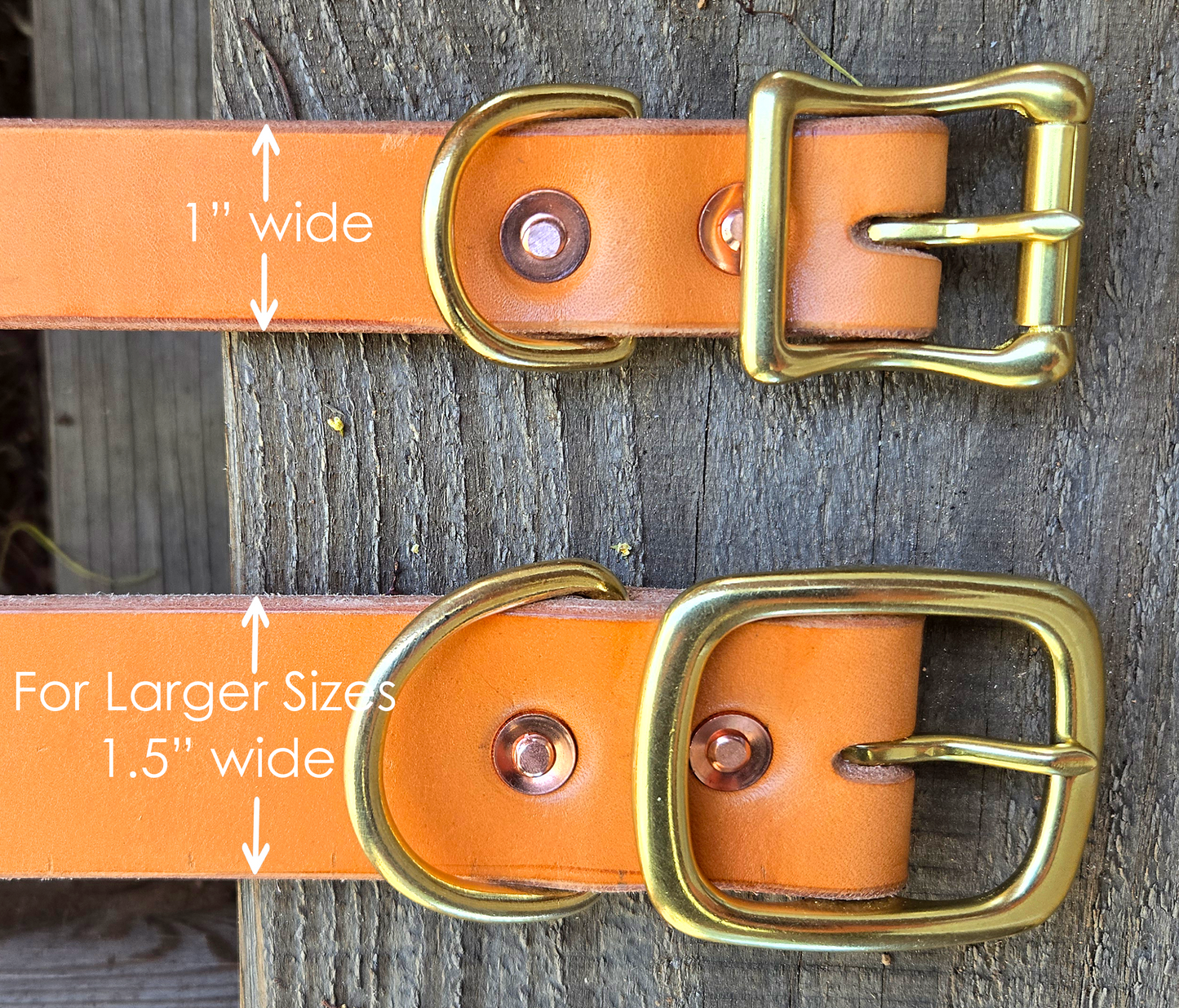 Sapphira's World Personalized Dog Collar