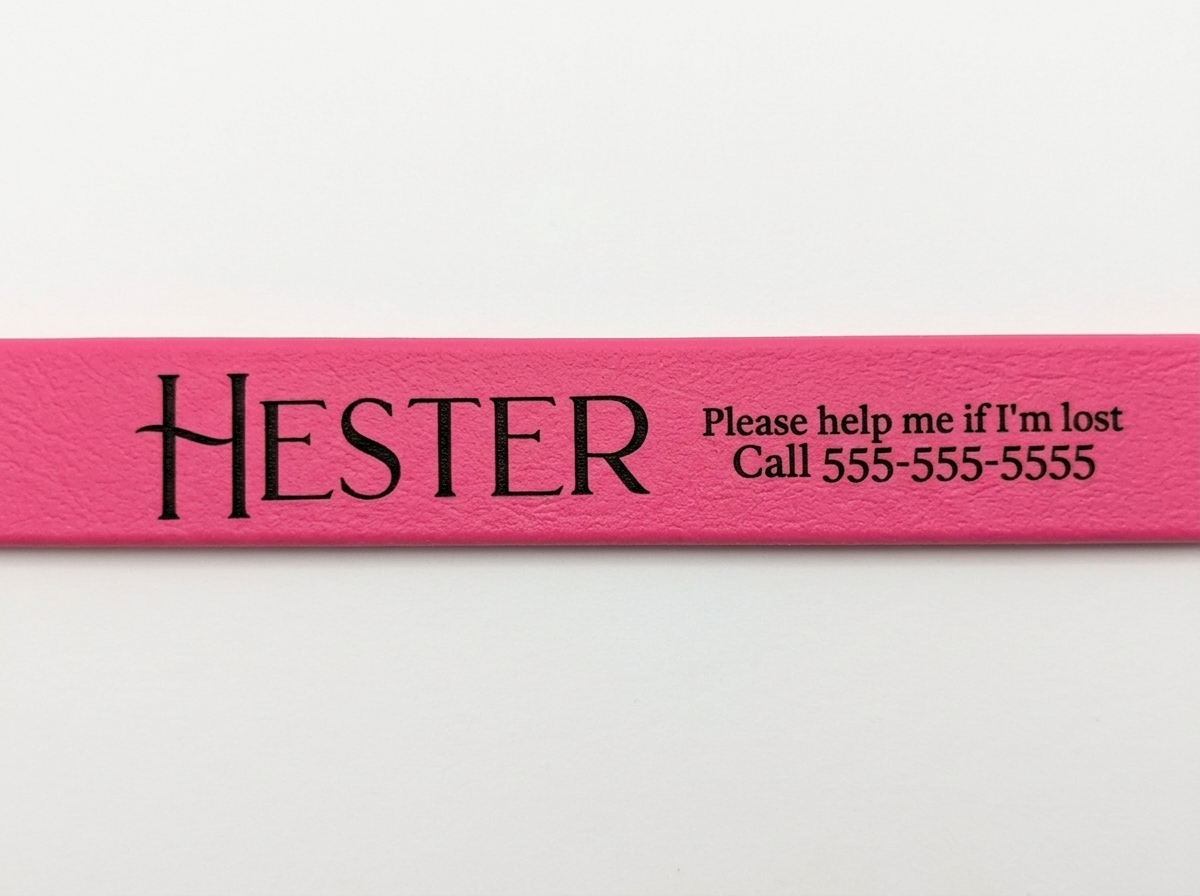 Sapphira's World Personalized BioThane® Dog Collar