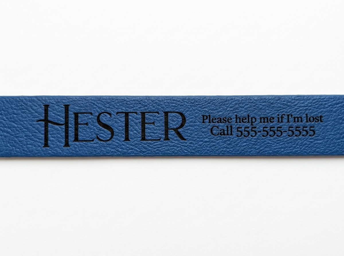 Sapphira's World Personalized BioThane® Dog Collar