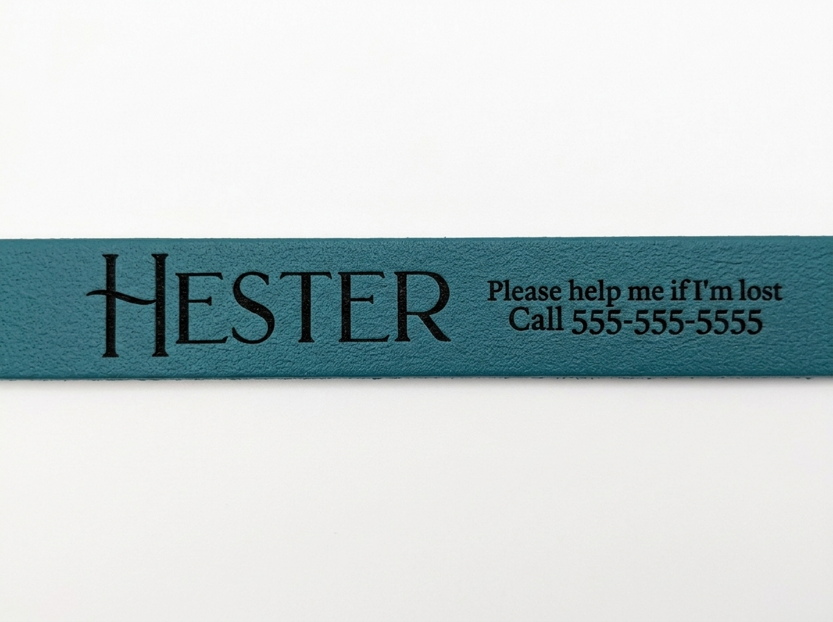 Sapphira's World Personalized BioThane® Dog Collar